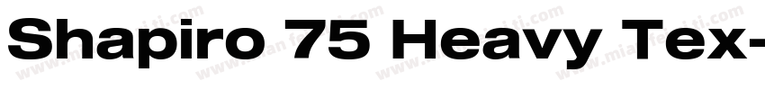 Shapiro 75 Heavy Tex字体转换